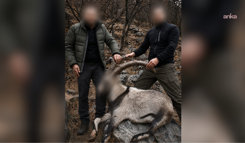 6 Yıl Sonra Gelen Adalet: Siirt'teki Yaban Keçisi Katliamcıları Yıllar Sonra Yakalandı!