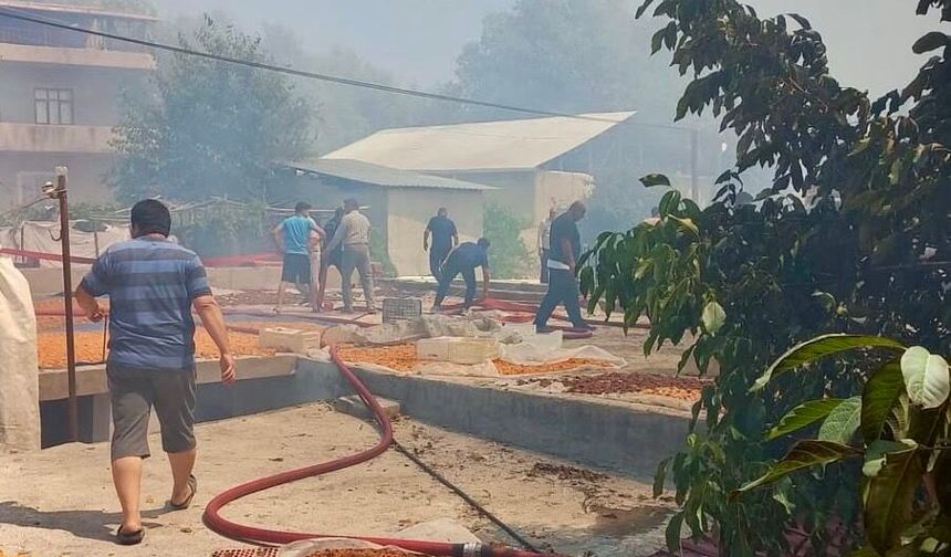 Darende Alevlere Teslim! Evlere Sıçrayan Yangın İçin Seferberlik İlan Edildi: Vali Yavuz Bölgeye Gidiyor