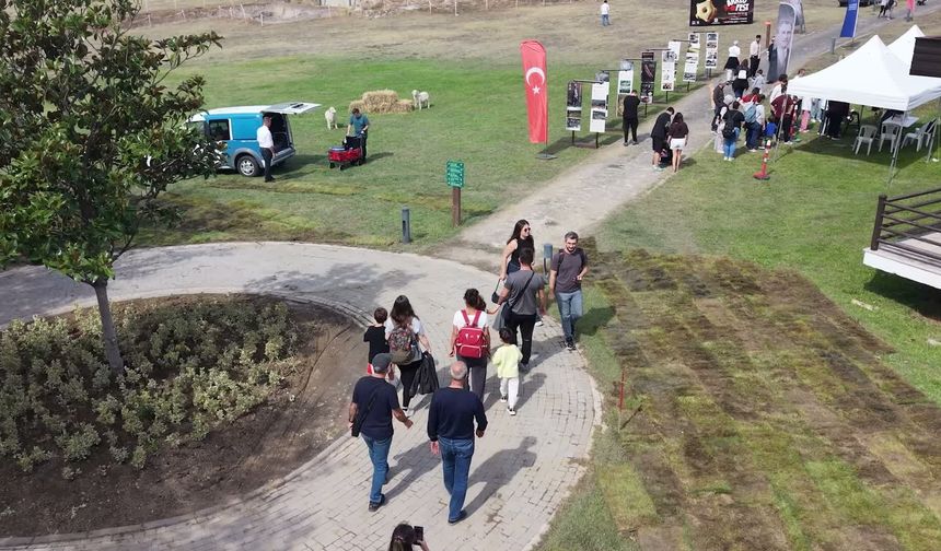 8 Bin 500 Yıllık Tarihe Yolculuk: Bursa'da Arkeofest Kapılarını Açtı!