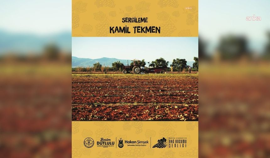 Bağ Bozumu Şenliği Fotoğraf Yarışması Sonuçlandı: İşte Kazanan İsimler!