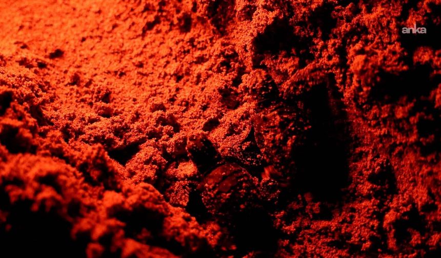 Caretta Caretta Yavrularının Ege’yle Son Buluşması: Sezonun Son Sevinci Yaşandı