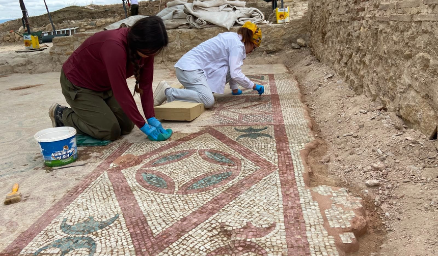 Pompeiopolis Antik Kenti’nde 105 Metrekarelik Roma Dönemi Mozaiği Gün Yüzüne Çıkarıldı