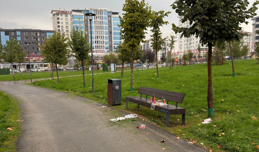 Malatya 100. Yıl Parkı'nda çevre kirliliği: Belediyenin denetim ve yaptırım sorumluluğu