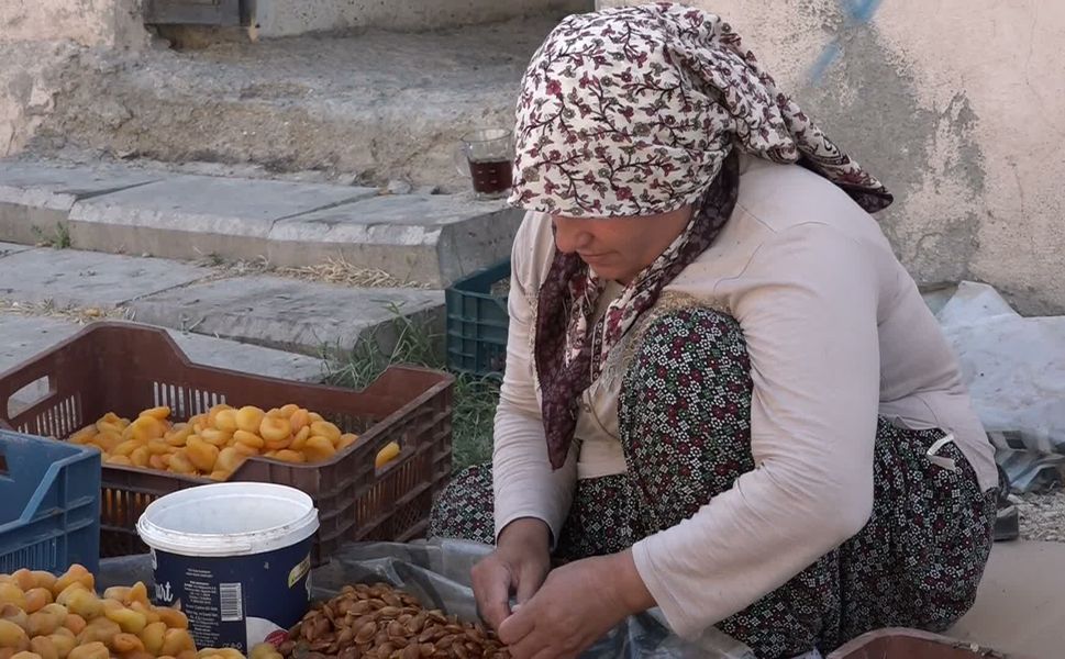 Malatya Kayısı Üreticisinden TMO'ya Müdahale Çağrısı: "Fiyat Maliyetin Altına Düştü!"
