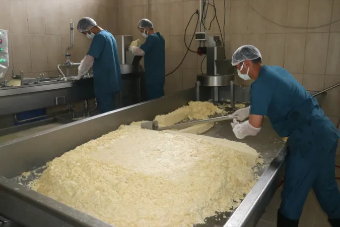 <p>Elazığlı Murat Doğan ve bir ortağı tarafından il merkezine bağlı Murat köyü yakınlarındaki Organize Sanayi Bölgesi'nde kurulan fabrikada 5 yıldan fazla süredir kaşar peyniri üretiliyor</p>