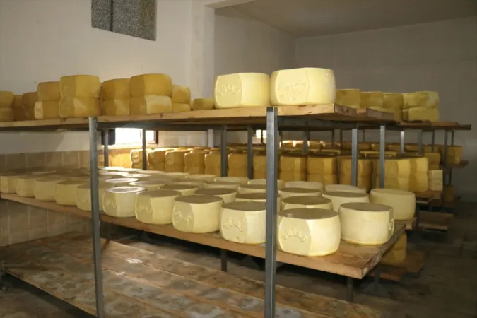 <p>Fabrika çalışanları, her gün sabah erken saatlerde işe başlayarak süt toplamak için köylere gidiyor.</p>
<p>Köy köy gezerek yaklaşık 1000 üreticinin büyükbaş ve küçükbaş hayvanlardan elde ettiği sütleri satın alan işçiler, daha sonra fabrikaya dönüyor.</p>