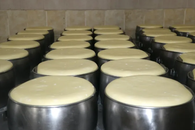 <p>Her gün çeşitli test ve işlemlerden geçirilen 20 ton süt, kaşar peyniri haline getirilerek yurdun farklı bölgelerine pazarlanıyor.</p>
<p>Köylerdeki üreticiler de fabrika sayesinde ürettikleri sütü hemen satıp kazanç sağlıyor.</p>