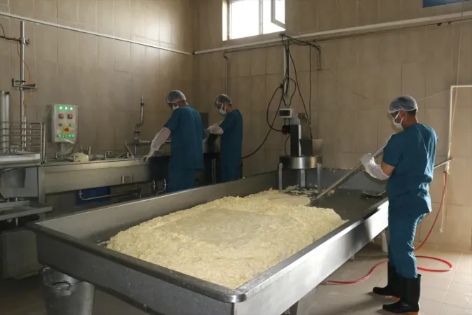 <p>Sütün taze kalabilmesi ve peynirin daha kaliteli, daha verimli çıkabilmesi için her gün sabah ve akşamları köylere giderek süt aldıklarını dile getiren Doğan, şöyle devam etti:</p>