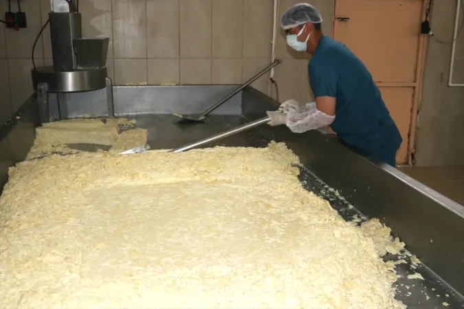 <p>Köylerdeki üreticilerden toplanan 20 ton süt, fabrikada işlenip kaşar peyniri haline getirilerek yurdun farklı bölgelerine pazarlanıyor İşletme sahibi Murat Doğan: " <a href="https://www.gunestv.com/haberleri/agri" class="tag-link" title="Tüm Ağrı haberleri" target="_blank">Ağrı</a>'da herhangi bir süt işleme fabrikasının bulunmaması üzerine yola çıktık. Burada 5 yıldan uzun bir süredir üretim yapmaktayız. TKDK desteğiyle 9 araç aldık ve bunlar süt taşıma araçları. Desteklemeyle süt tankı da aldık"</p>