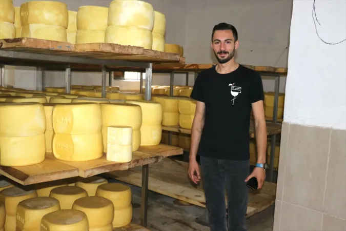 <p>Kaliteli peynir üretmek için köy köy gezip süt toplamanın zahmetli bir iş olduğunu ancak işlerini severek yaptıklarını belirten Doğan, şöyle konuştu:</p>
<p>" <a href="https://www.gunestv.com/haberleri/agri" class="tag-link" title="Tüm Ağrı haberleri" target="_blank">Ağrı</a>'da herhangi bir süt işleme fabrikasının bulunmaması üzerine yola çıktık. Burada 5 yıldan uzun bir süredir üretim yapmaktayız. TKDK desteğiyle 9 araç aldık ve bunlar süt taşıma araçları. Desteklemeyle süt tankı da aldık. 9 aracımız her gün sabah saat 05.00'te 150 köye giderek 1000 üreticiden günlük taze süt alıp fabrikaya getiriyor. Sütler burada mayalandıktan sonra testlerden geçip kaşar peyniri olarak çıkmaktadır."</p>