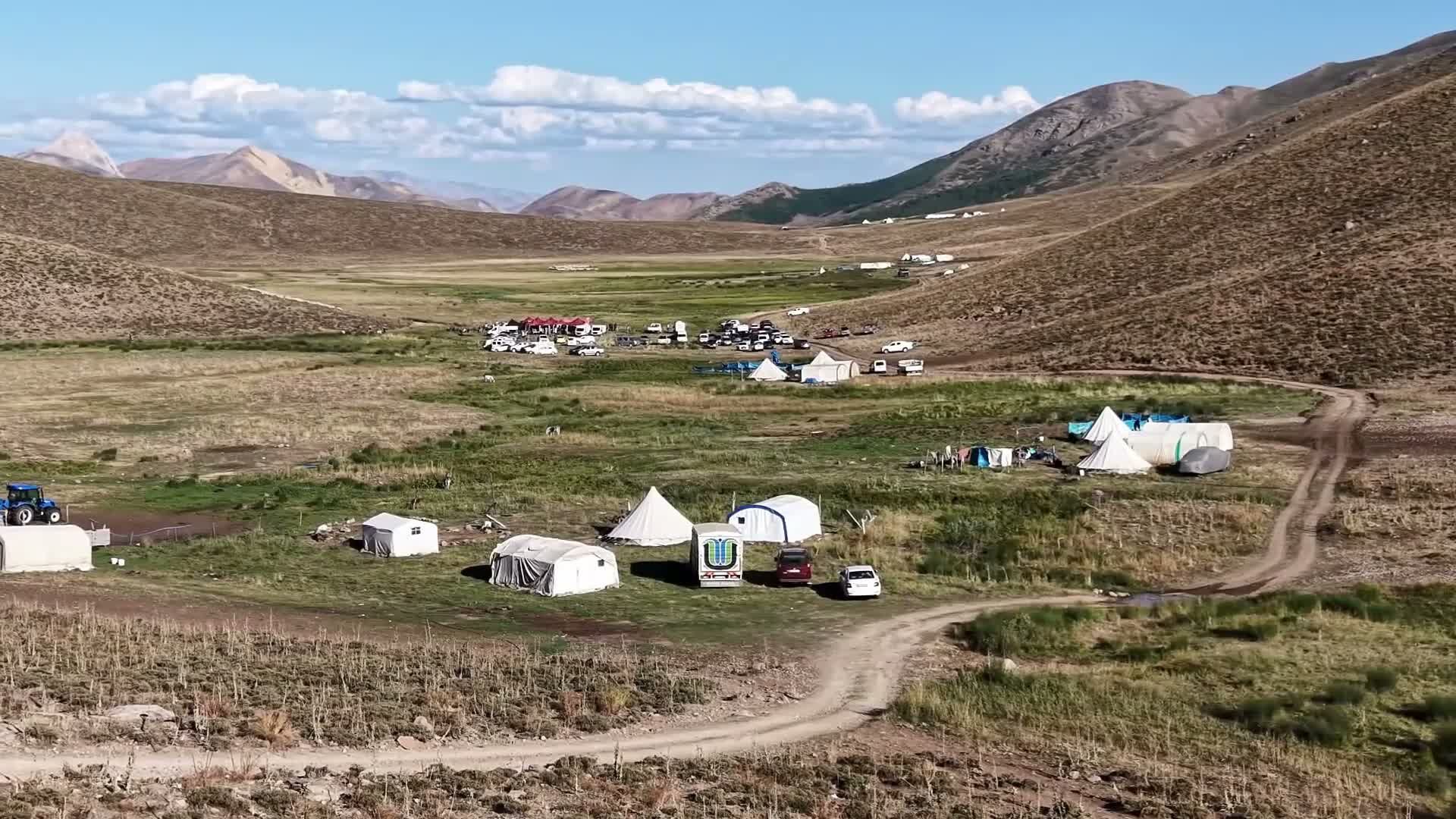 Tunceli'de 2 Bin 500 Rakımda Koç Katım Şenliği: Validen "2 Milyon Hayvan" Vurgusu
